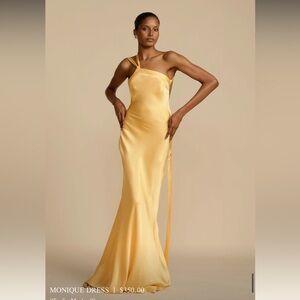 Brand new Arcina Ori gown